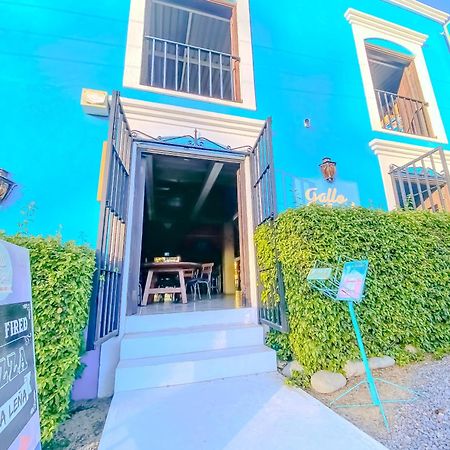 Gallo Azul Hotel, En El Corazon De Todos Santos Dış mekan fotoğraf