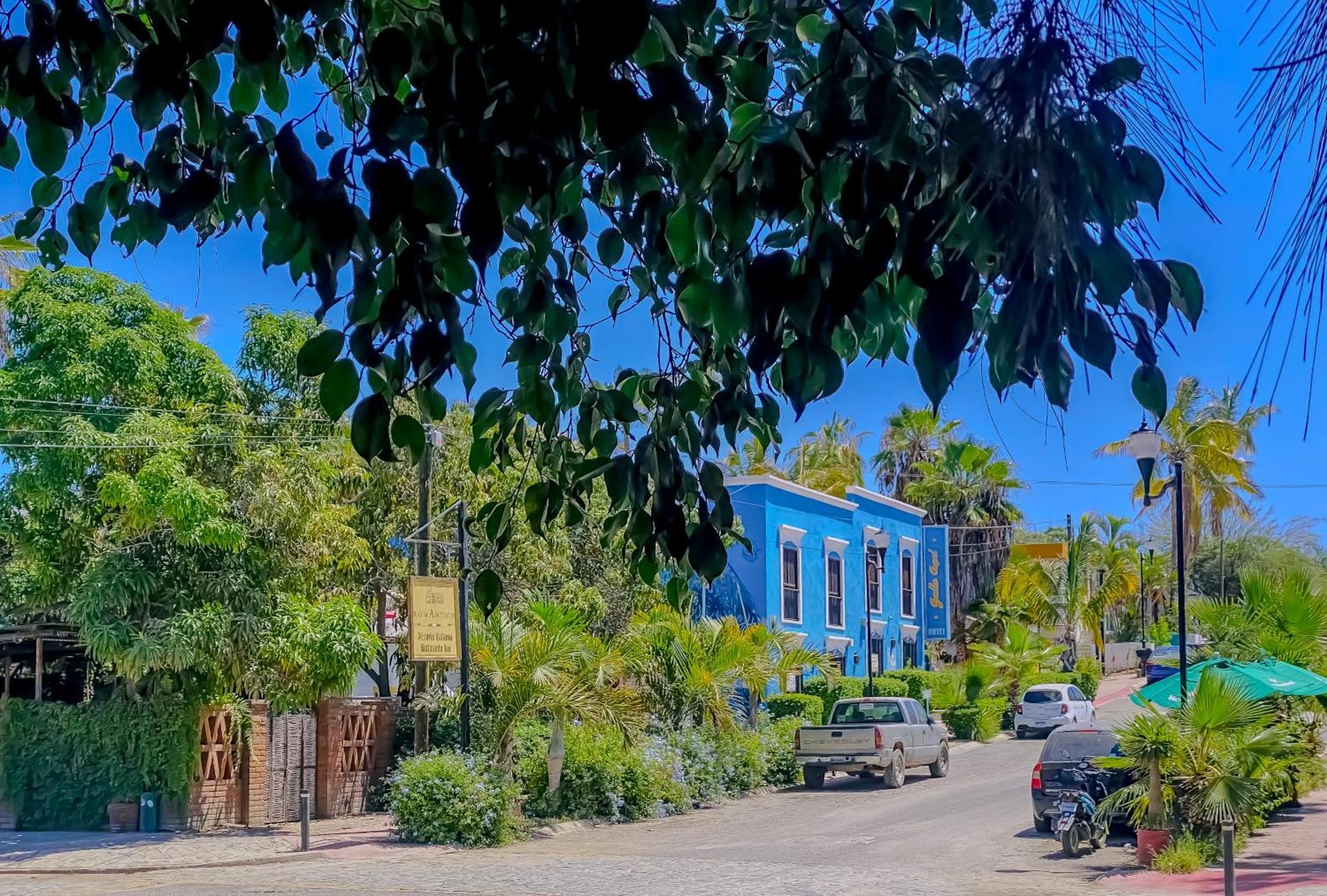 Gallo Azul Hotel, En El Corazon De Todos Santos Dış mekan fotoğraf