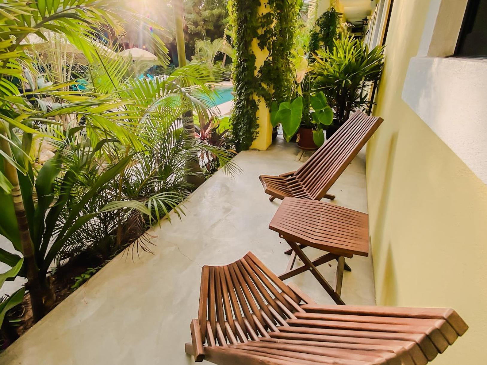 Gallo Azul Hotel, En El Corazon De Todos Santos Dış mekan fotoğraf