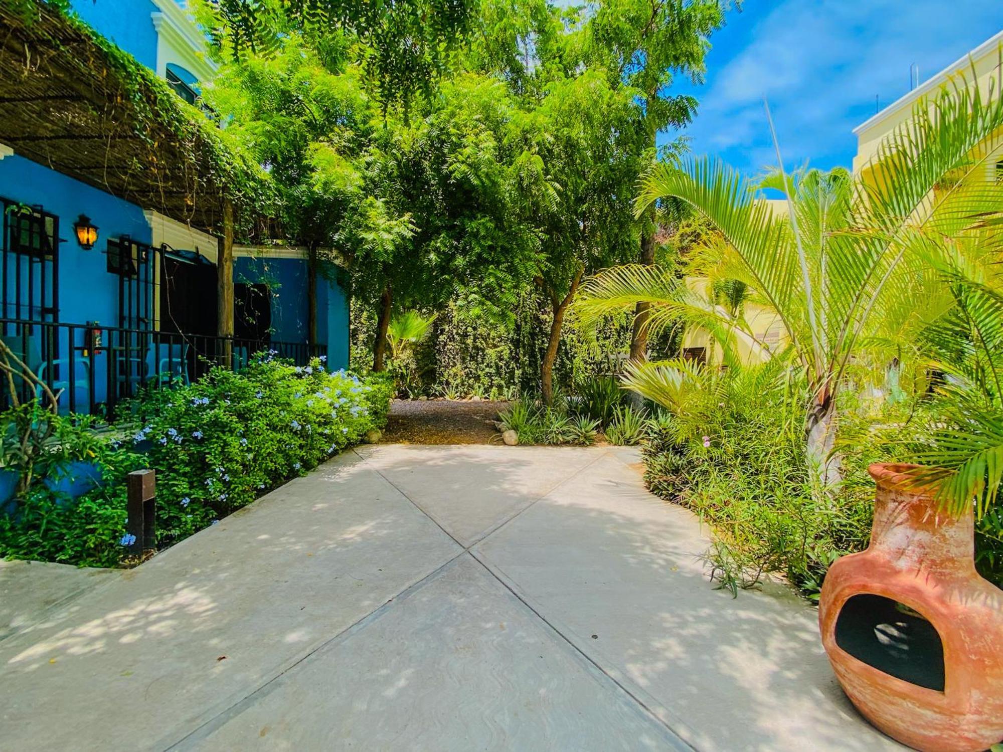Gallo Azul Hotel, En El Corazon De Todos Santos Dış mekan fotoğraf