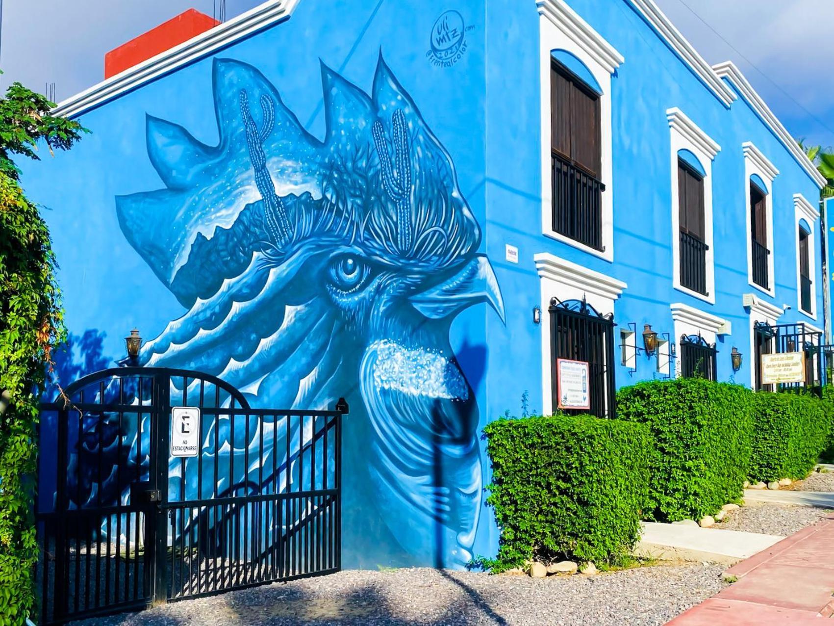 Gallo Azul Hotel, En El Corazon De Todos Santos Dış mekan fotoğraf