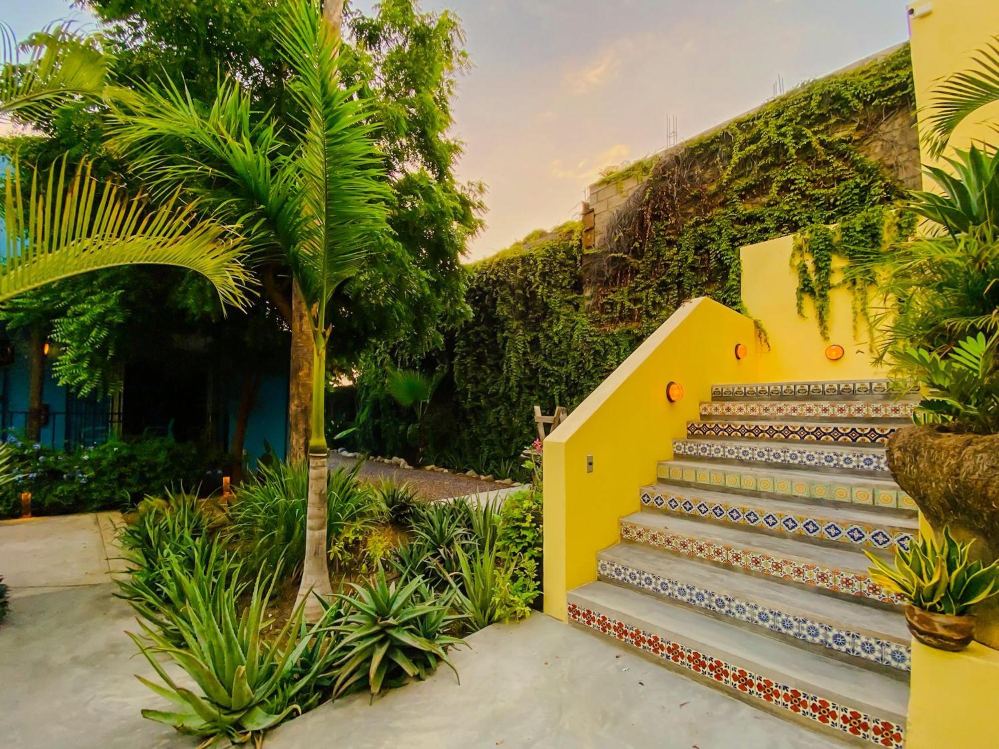 Gallo Azul Hotel, En El Corazon De Todos Santos Dış mekan fotoğraf