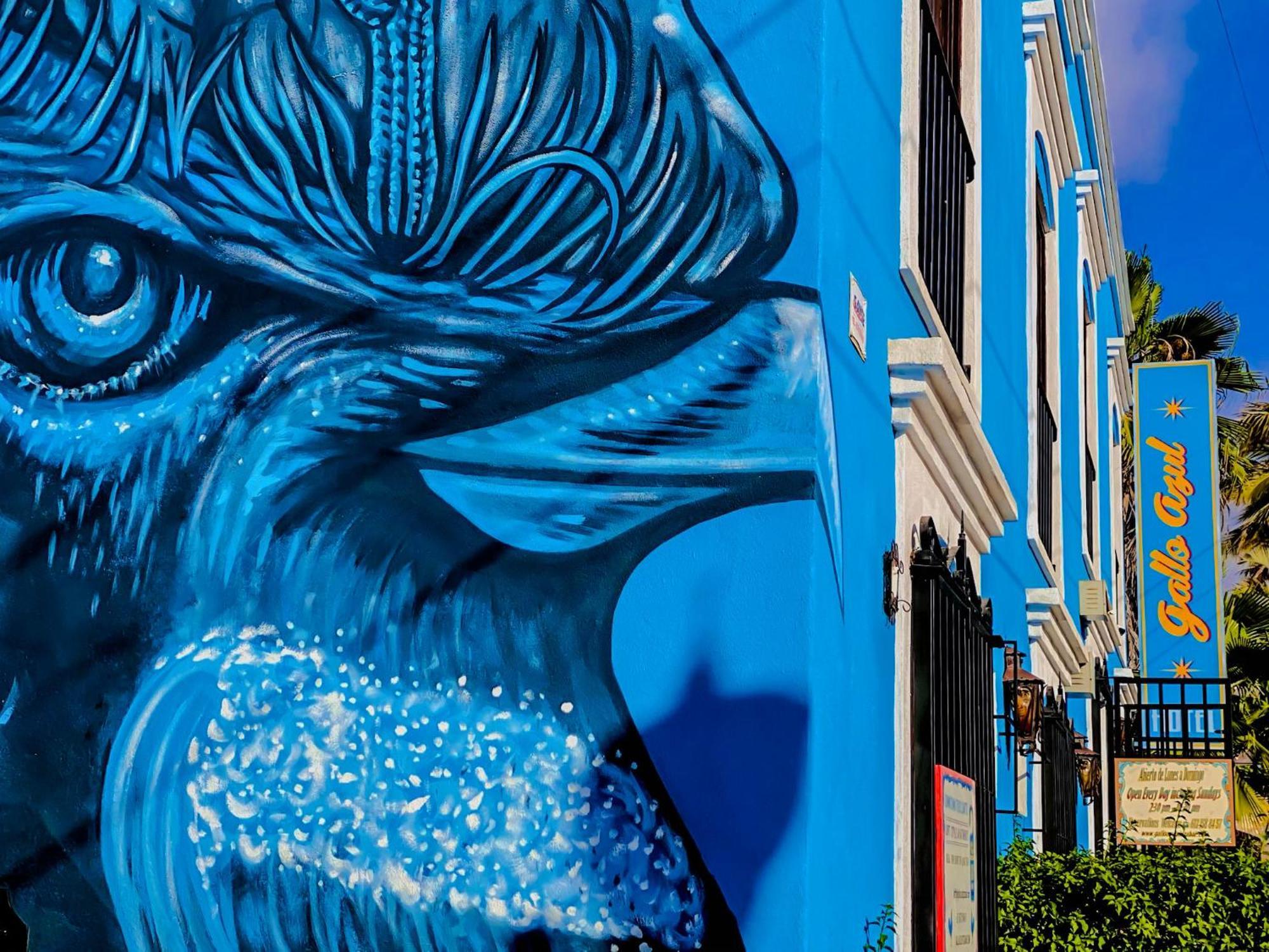 Gallo Azul Hotel, En El Corazon De Todos Santos Dış mekan fotoğraf